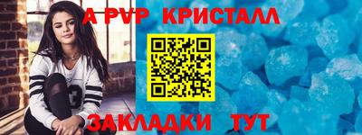 крисы Донской
