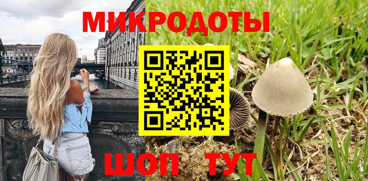 Галлюциногенные грибы GOLDEN TEACHER Новороссийск