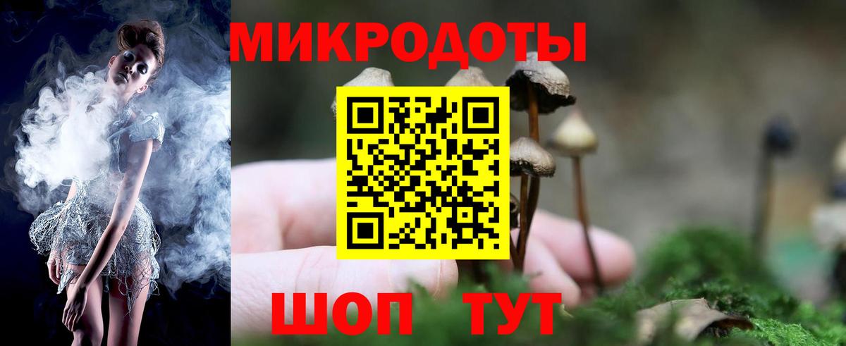 что такое наркотик  Вход с VPN  Новороссийск  Псилоцибиновые грибы мухоморы 